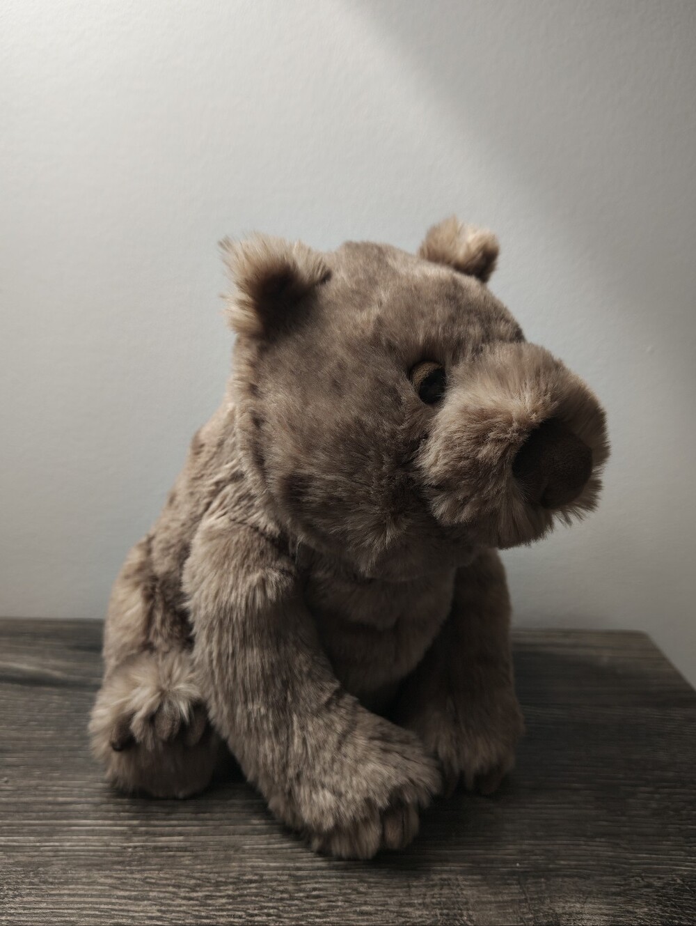 Jellycat Wonda Wombat BNWT